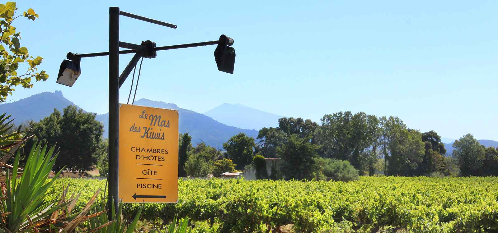 Mas des Kiwis en Provence